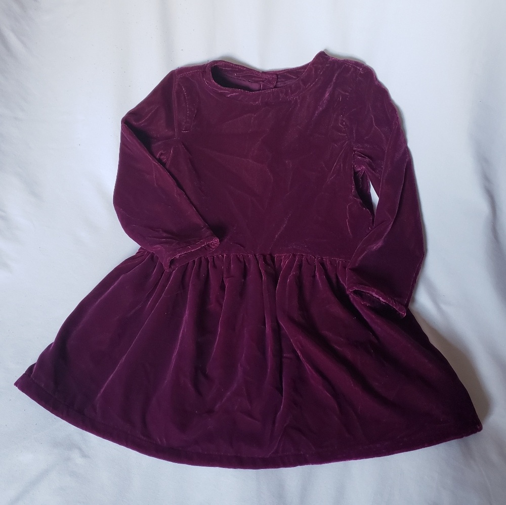 Gymboree Baby Purple Velvet Long Sleeve Dress 2T